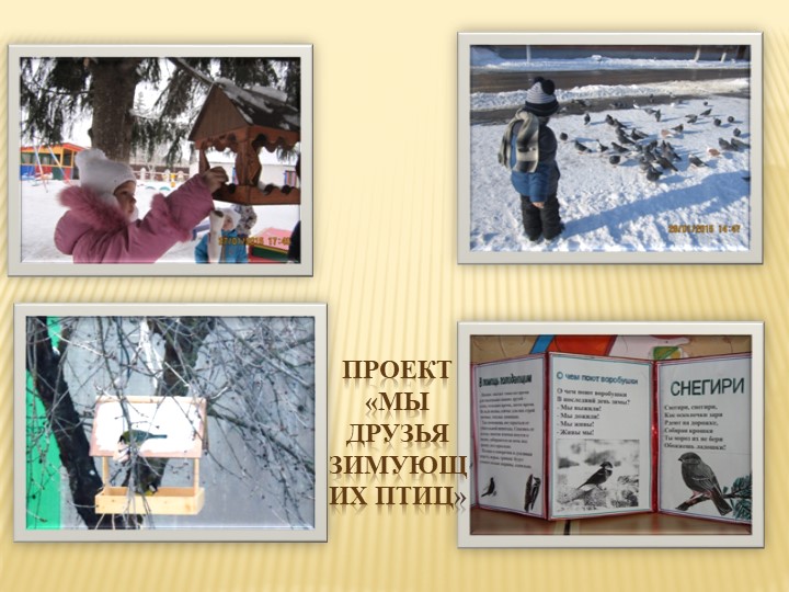 Презентация " Экологическое воспитание дошкольников" "Давай дружить с природой"
