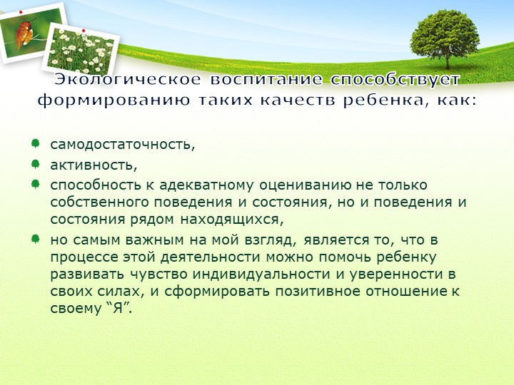 Развитие самосознания дошкольника в процессе экологического воспитания