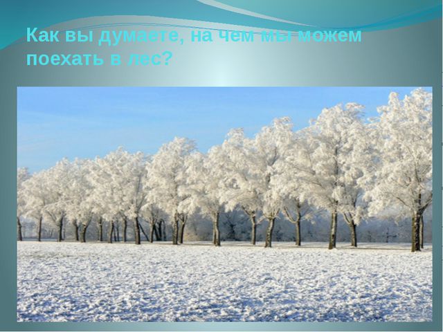 Зима в лесу. Презентация для детей