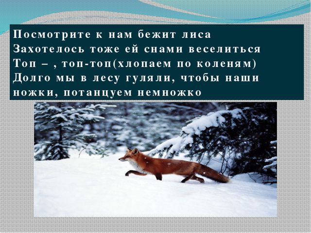 Зима в лесу. Презентация для детей