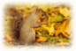 Picture 32