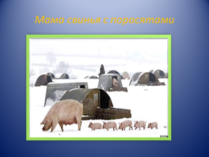 Презентация для детей ясельного возраста