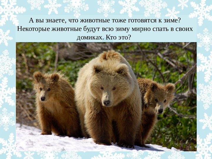 Презентация "Как животные готовятся к зиме?"