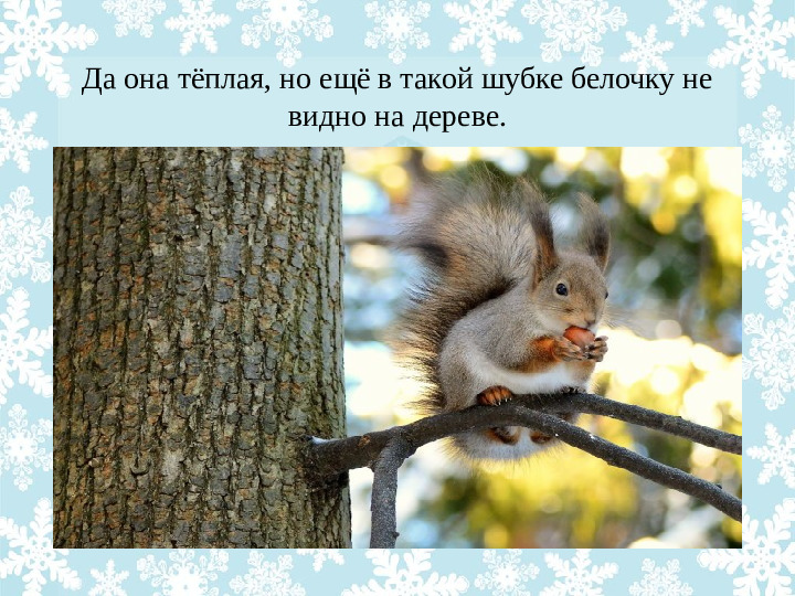 Презентация "Как животные готовятся к зиме?"