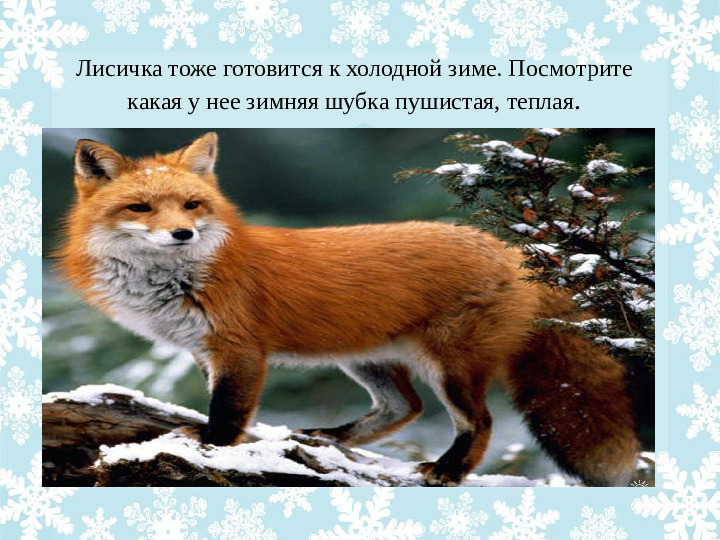Презентация "Как животные готовятся к зиме?"