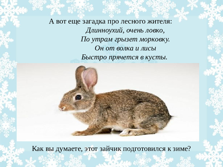 Презентация "Как животные готовятся к зиме?"