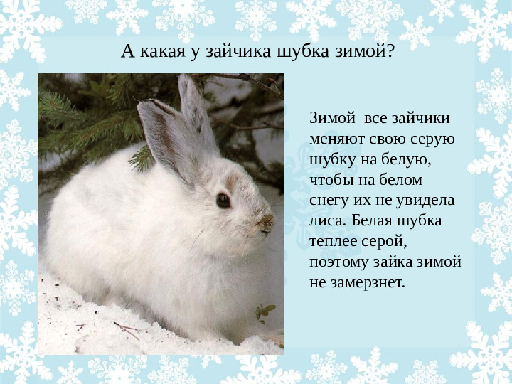 Презентация "Как животные готовятся к зиме?"