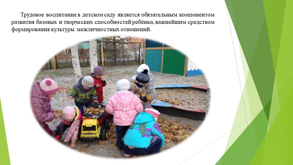 Познавательное развитие. Ознакомление с предметным окружением/ ознакомление с миром природы