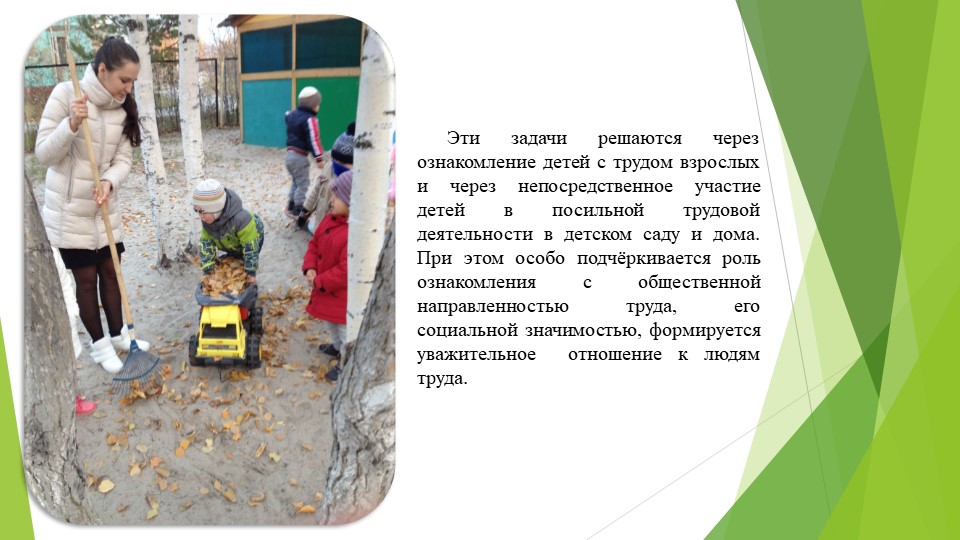 Познавательное развитие. Ознакомление с предметным окружением/ ознакомление с миром природы