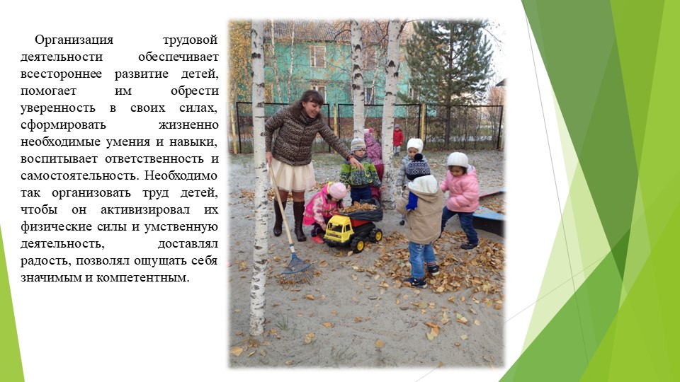 Познавательное развитие. Ознакомление с предметным окружением/ ознакомление с миром природы