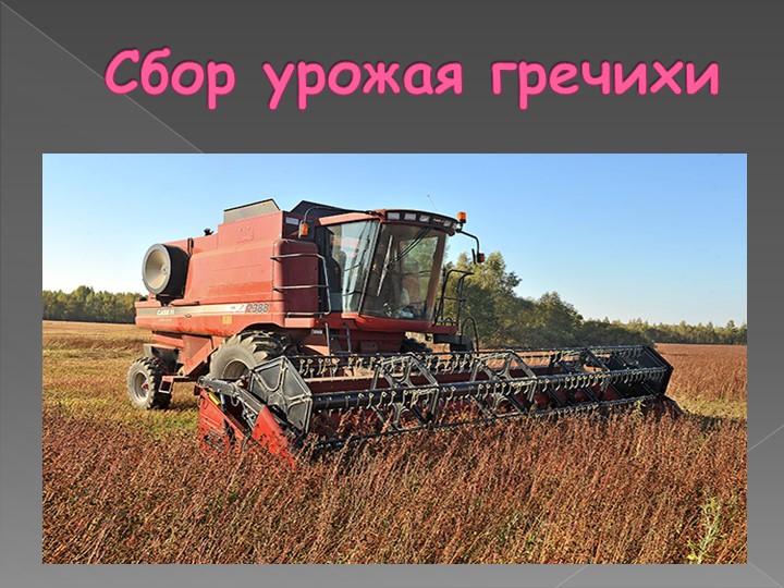 Презентация на тему: "Каша - матушка наша".