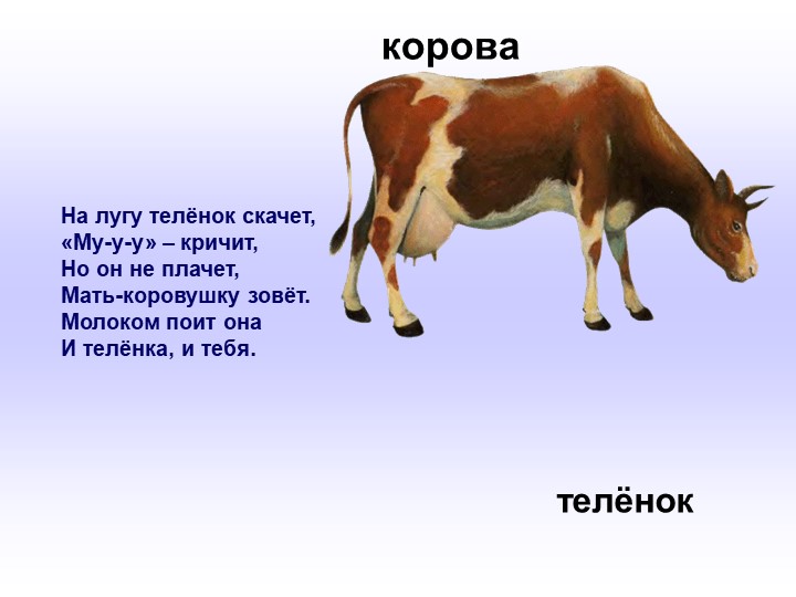 Презентация по развитию речи в младшей группе "Домашние животные".