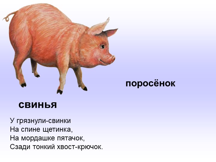 Презентация по развитию речи в младшей группе "Домашние животные".