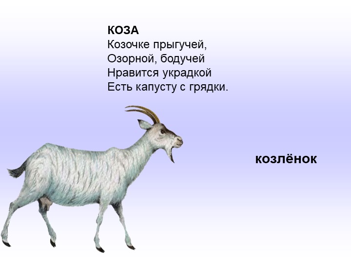 Презентация по развитию речи в младшей группе "Домашние животные".