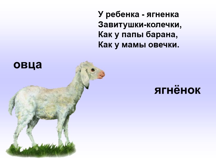 Презентация по развитию речи в младшей группе "Домашние животные".