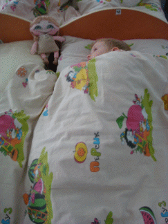 Picture 13