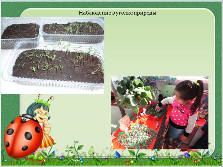 Выступление на тему "Экологическое воспитание детей дошкольного возраста"