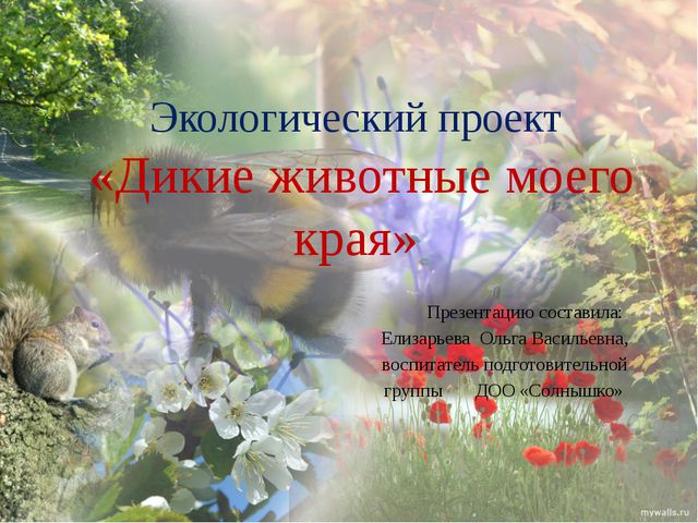 Дикие животные моего края. Презентация экологического проекта в ДОУ