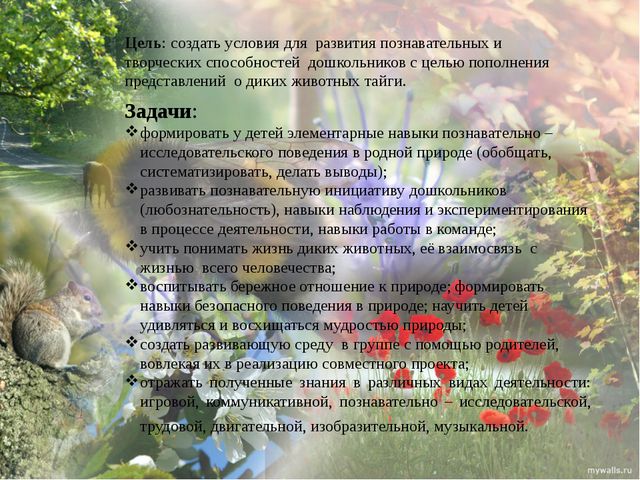 Дикие животные моего края. Презентация экологического проекта в ДОУ