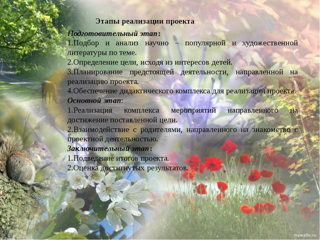 Дикие животные моего края. Презентация экологического проекта в ДОУ