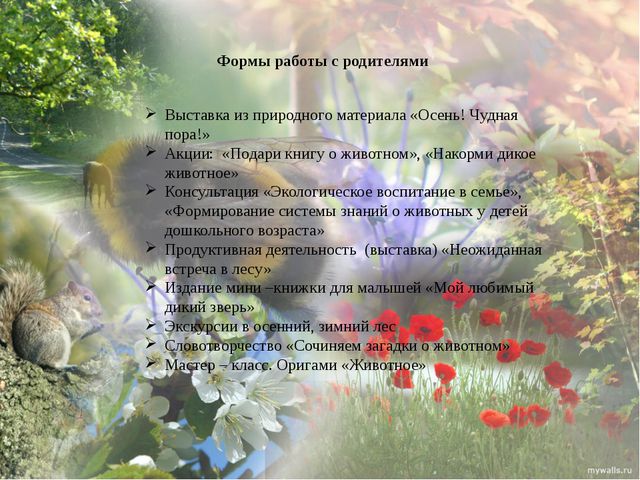 Дикие животные моего края. Презентация экологического проекта в ДОУ