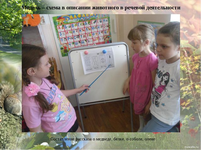 Дикие животные моего края. Презентация экологического проекта в ДОУ