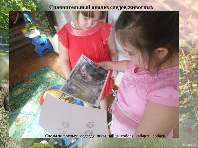 Дикие животные моего края. Презентация экологического проекта в ДОУ