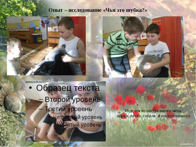 Дикие животные моего края. Презентация экологического проекта в ДОУ
