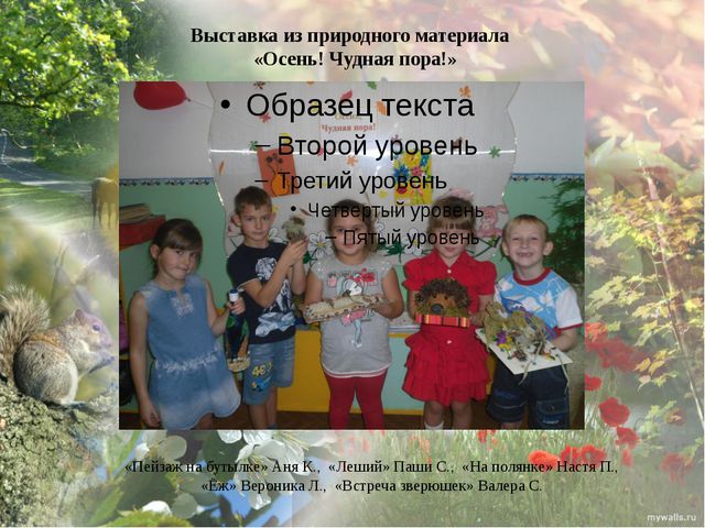 Дикие животные моего края. Презентация экологического проекта в ДОУ