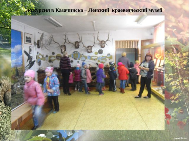 Дикие животные моего края. Презентация экологического проекта в ДОУ