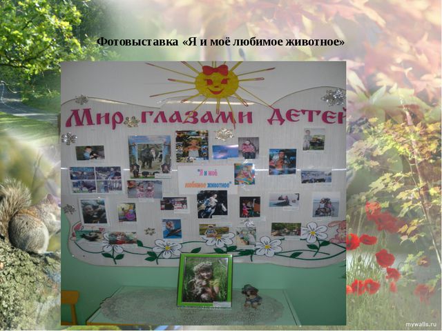 Дикие животные моего края. Презентация экологического проекта в ДОУ
