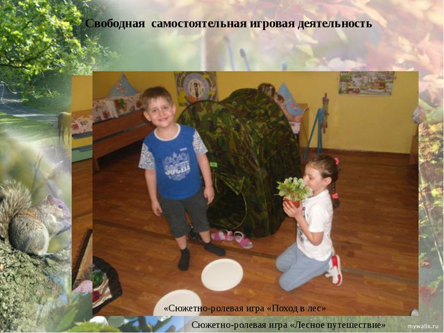 Дикие животные моего края. Презентация экологического проекта в ДОУ