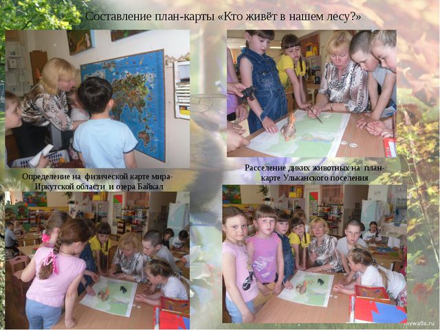 Дикие животные моего края. Презентация экологического проекта в ДОУ
