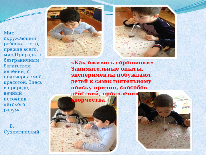 Развитие познавательной активности у детей через поисково-исследовательскую деятельность