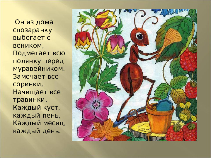 Презентация : "Сказки про лекарственные растения"