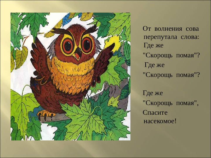 Презентация : "Сказки про лекарственные растения"