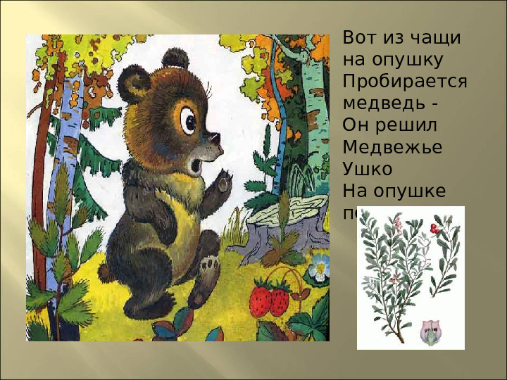 Презентация : "Сказки про лекарственные растения"