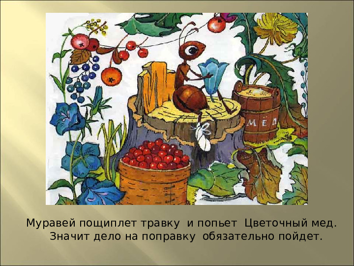 Презентация : "Сказки про лекарственные растения"