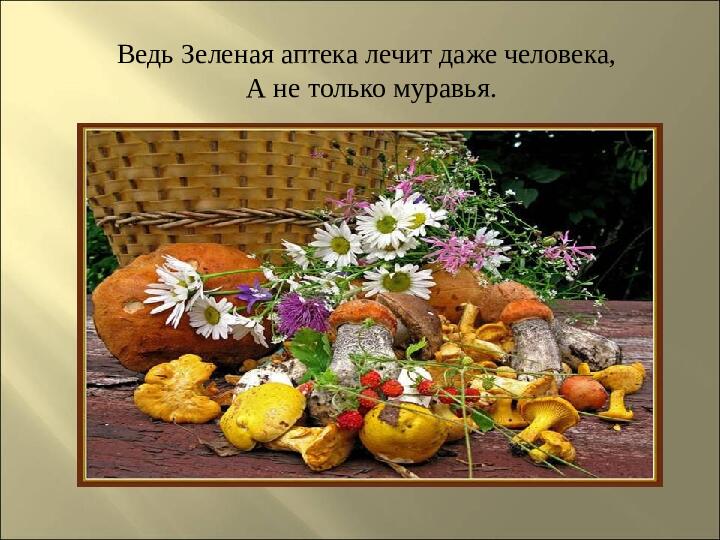 Презентация : "Сказки про лекарственные растения"