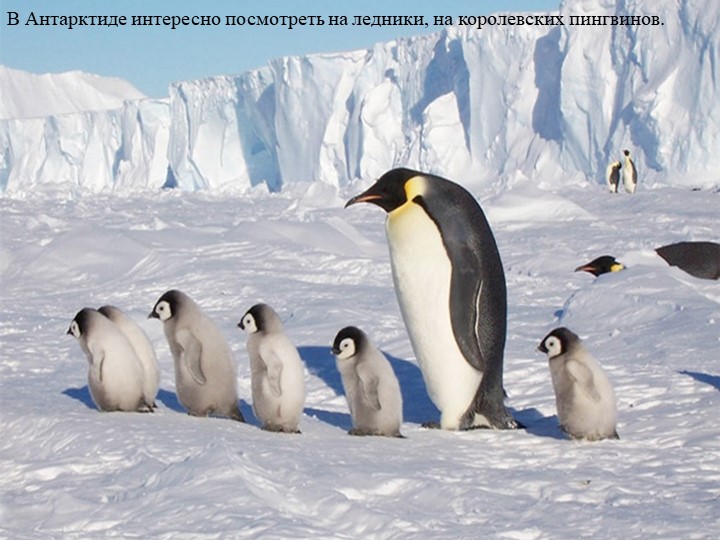 Презентация для подготовительной группы "Путешествие по миру"
