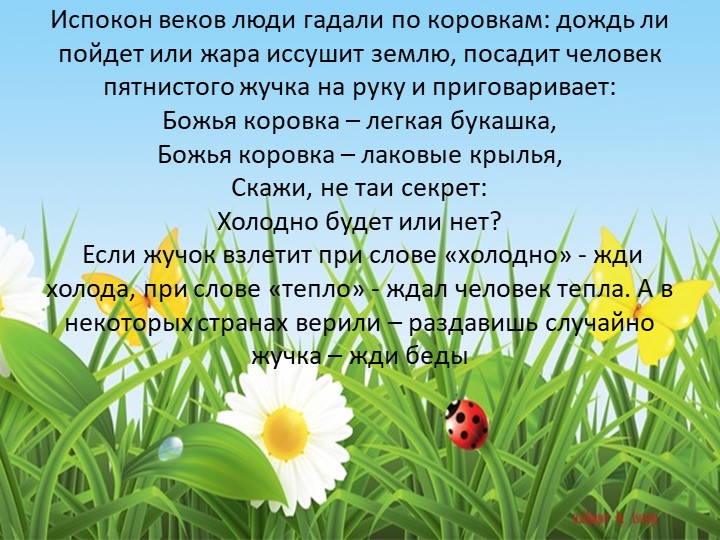 Презентация для подготовительной группы "Божья коровка"
