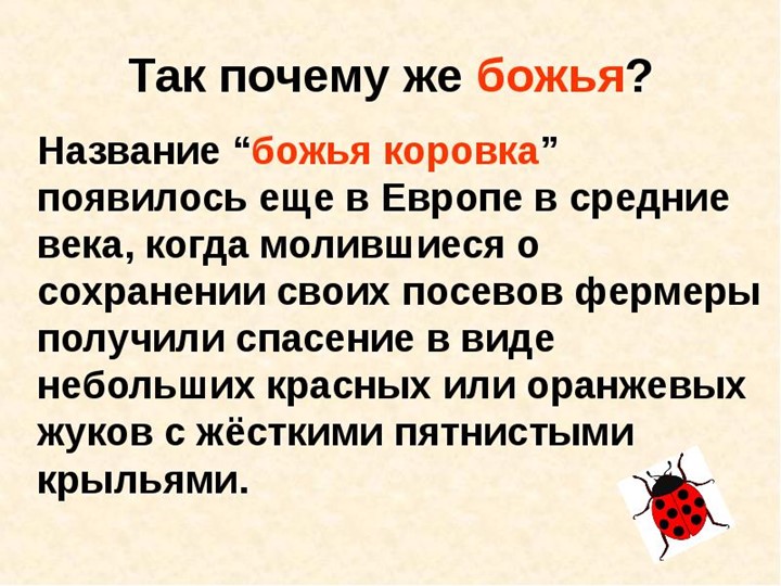 Презентация для подготовительной группы "Божья коровка"