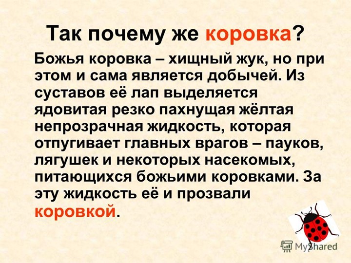 Презентация для подготовительной группы "Божья коровка"