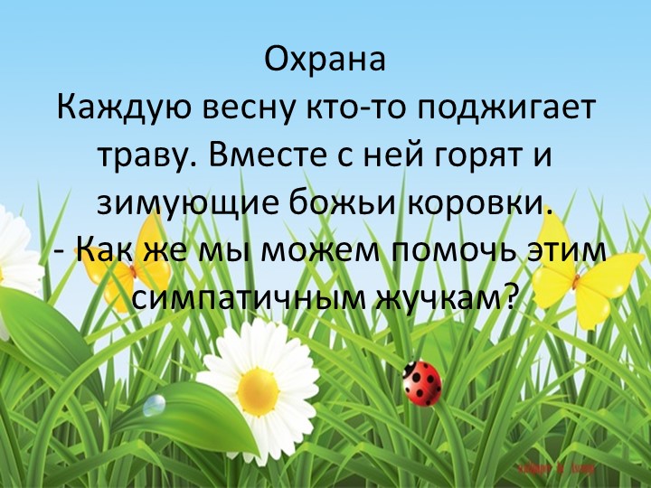 Презентация для подготовительной группы "Божья коровка"
