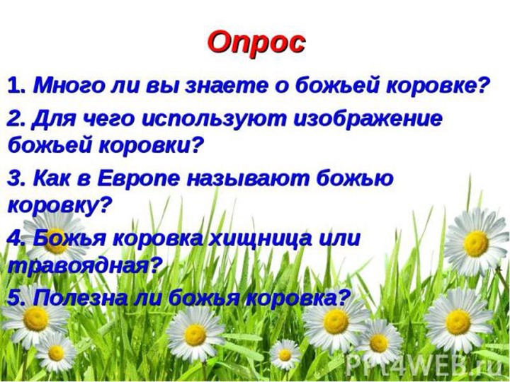 Презентация для подготовительной группы "Божья коровка"