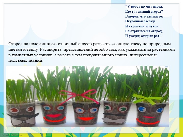 Экологический проект в подготовительной группе "Огород круглый год"