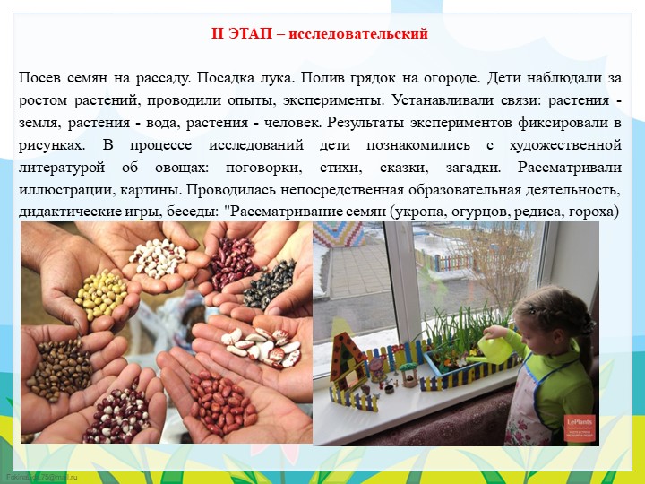 Экологический проект в подготовительной группе "Огород круглый год"