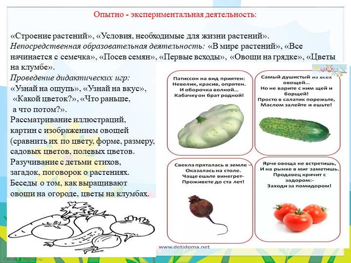 Экологический проект в подготовительной группе "Огород круглый год"