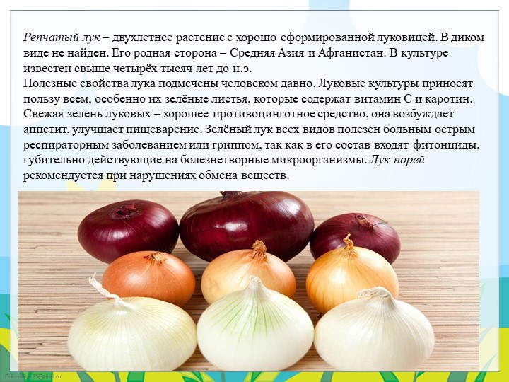 Экологический проект в подготовительной группе "Огород круглый год"