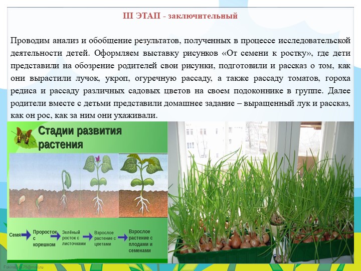Экологический проект в подготовительной группе "Огород круглый год"